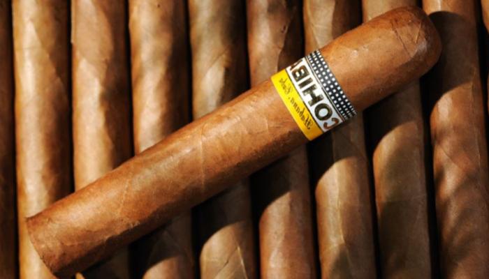 Puro Sepeti İle Puro Satın Al: En Kaliteli Puro Çeşitleri ve Uygun Puro Fiyatları 1 puro satin al