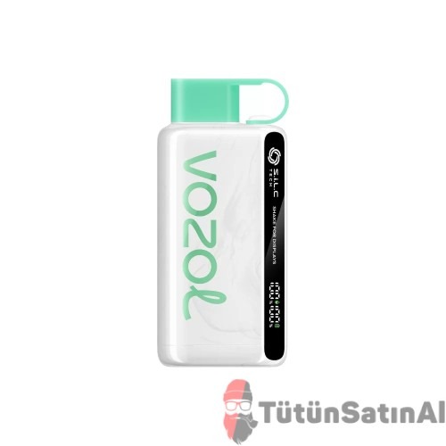 Vozol Star 12000 Cool Mint (SERİN NANE) 1 Vozol Star 12000 Cool Mint (SERİN NANE)