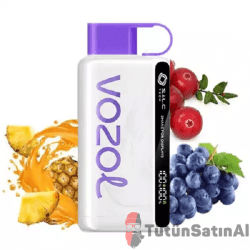 Vozol STAR 12000 CRANBERRY MANGO GRAPEFRUİT (AHUDUDU-ANANAS)