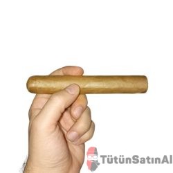 Mj Frias Cigars (6x60)