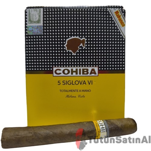 Cohiba Siglo VI Totalmente A Mano Gift Pack (REPLİKA) 1 Cohiba Siglo VI Totalmente A Mano