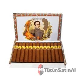 Bolivar Coronas Junior Puro 25's