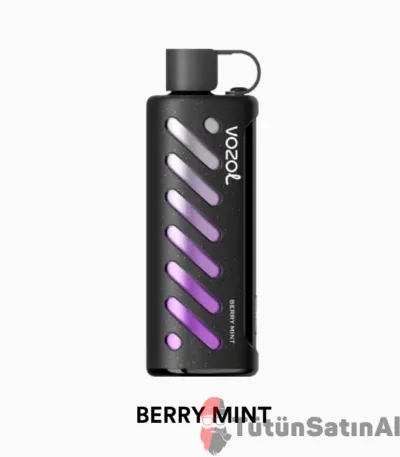 Vozol Gear Sisha 25000 Berry Mint 1 Vozol Gear Sisha 25000 Berry Mint