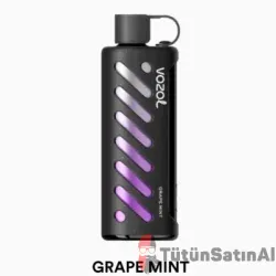 Vozol Gear Sisha 25000 Grape Mint