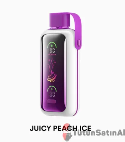 Vozol Star 20000 Juicy Peach Ice 1 Vozol Star 20000 Juicy Peach Ice