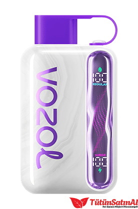 Vozol Star 40000 Grape Ice 1 Vozol Star 40000 Grape Ice