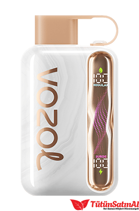 Vozol Star 40000 Strawberry Ice 1 Vozol Star 40000 Strawberry Ice