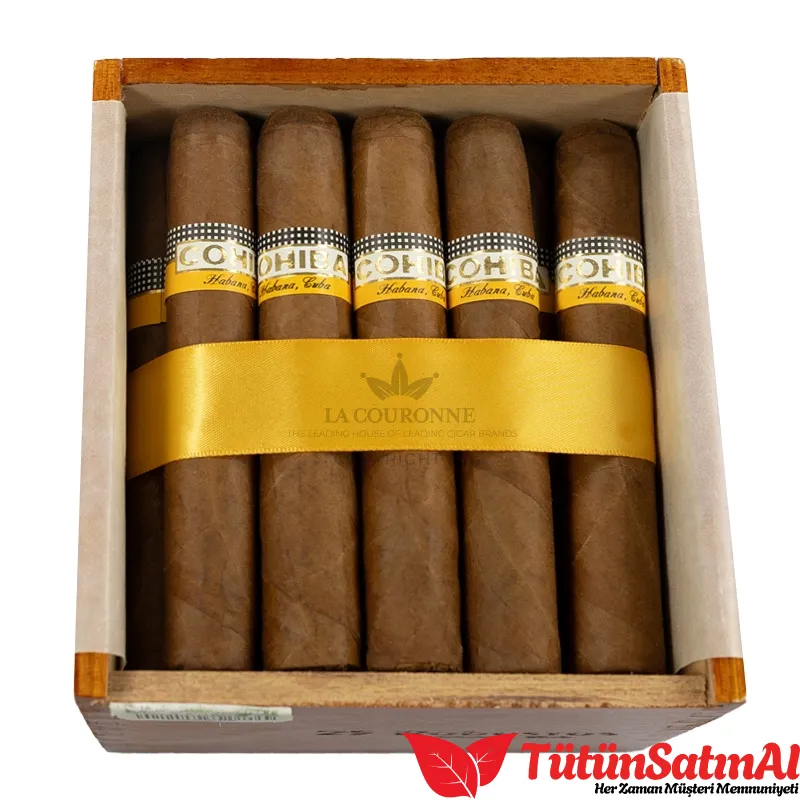 COHIBA ROBUSTOS 2010 1 COHIBA ROBUSTOS 2010