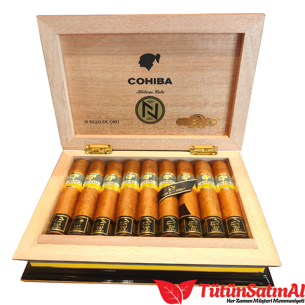 Cohiba Rabbit 1 Cohiba Rabbit