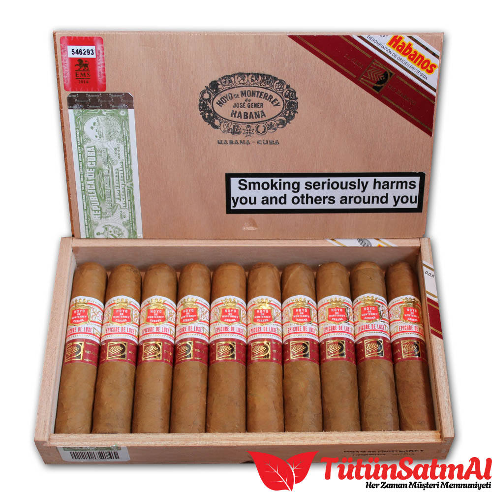 Hoyo de Monterrey Epicure De Luxe 10's Puro 1 Hoyo de Monterrey Epicure De Luxe 10's Puro