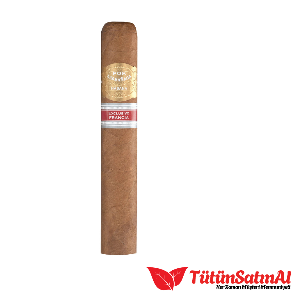 POR LARRANAGA PROMETIDOS EX.FRANCIA 2021 1