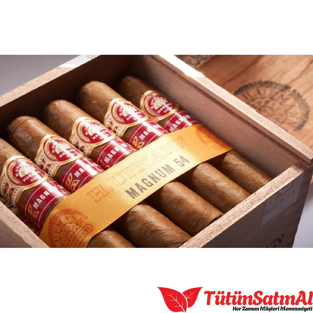 H. Upmann Magnum 54 25's Puro 3 H. Upmann Magnum 54 25's Puro - Görsel 3