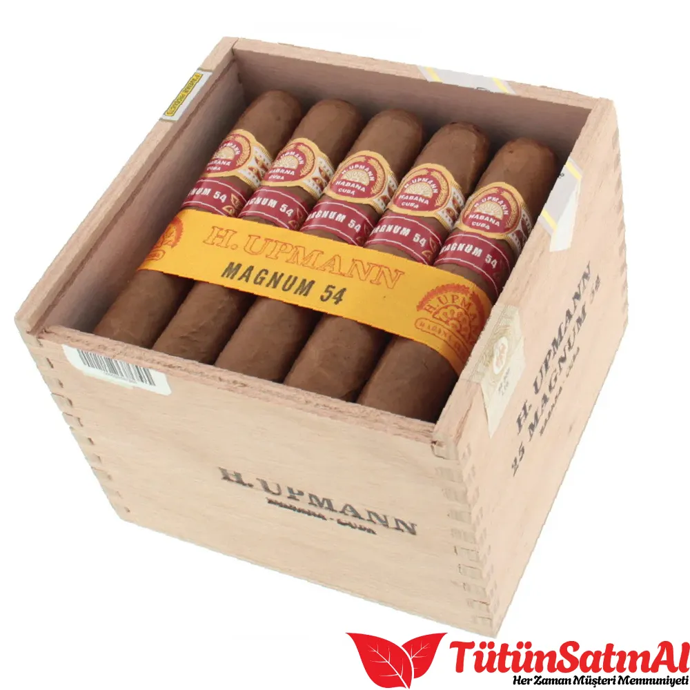 H. Upmann Magnum 54 25's Puro 2 H. Upmann Magnum 54 25's Puro - Görsel 2