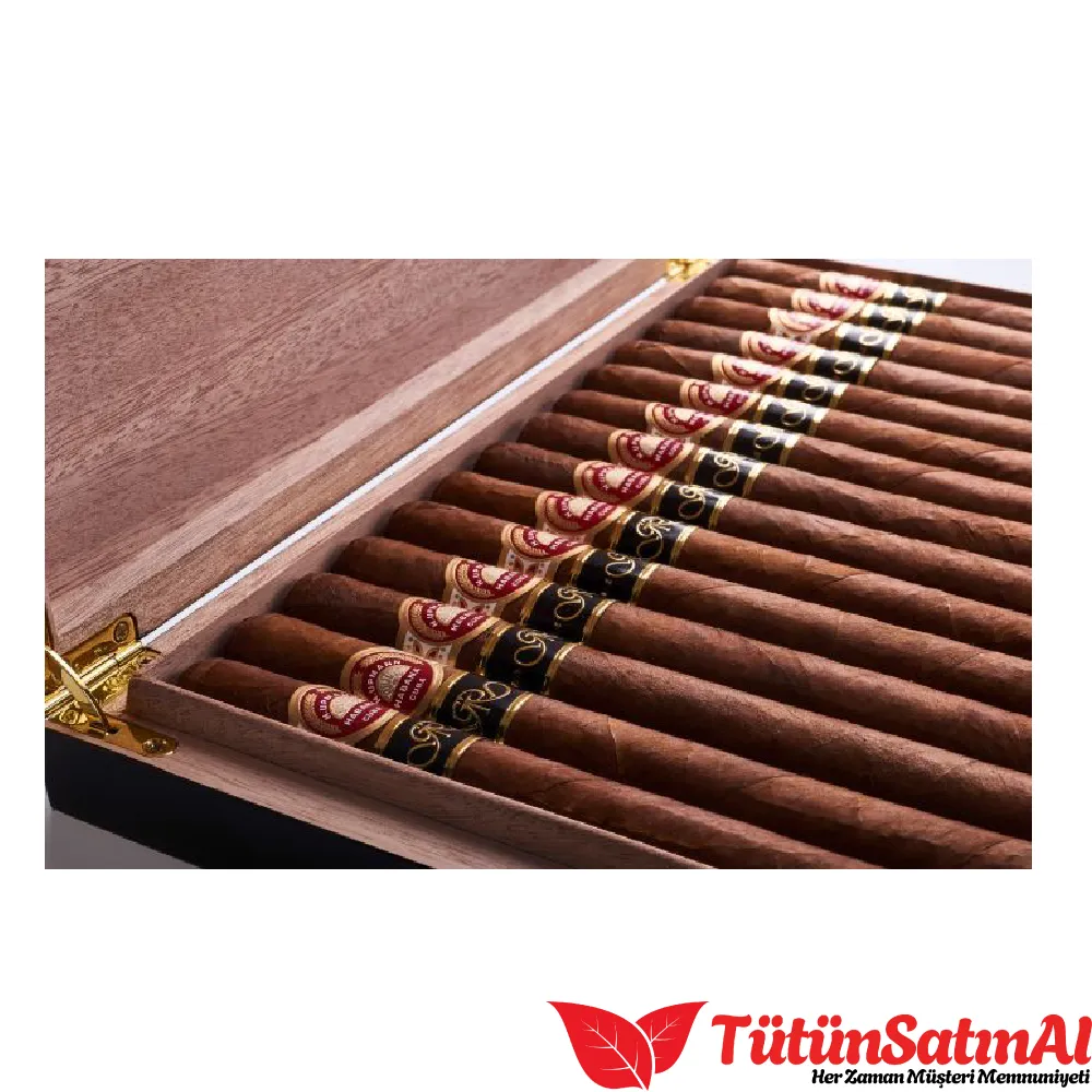 H. Upmann Sir Winston Gran Reserva (GR) Cosecha 2011 Puro 2 H. Upmann Sir Winston Gran Reserva (GR) Cosecha 2011 Puro - Görsel 2