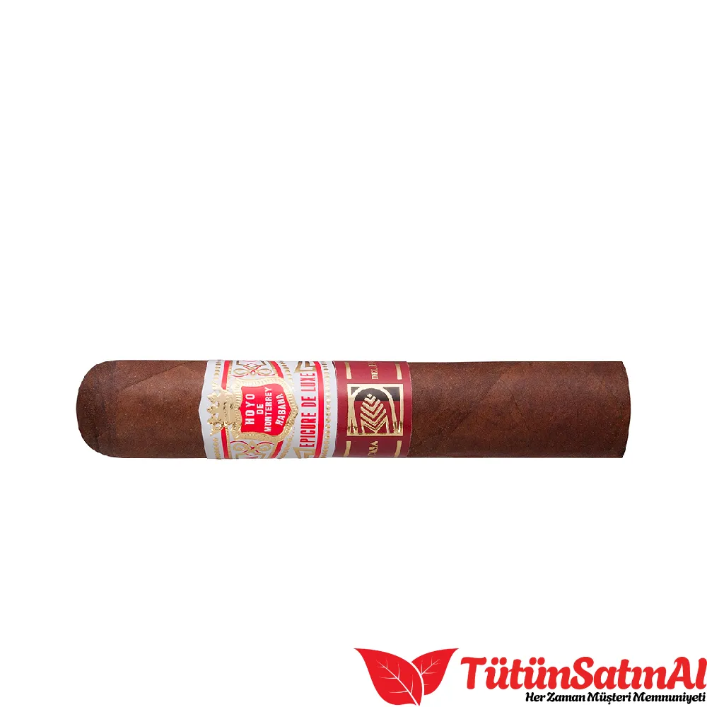 Hoyo de Monterrey Epicure De Luxe 10's Puro 3 Hoyo de Monterrey Epicure De Luxe 10's Puro - Görsel 3