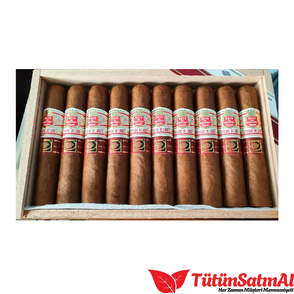 Hoyo de Monterrey Epicure De Luxe 10's Puro 4 Hoyo de Monterrey Epicure De Luxe 10's Puro - Görsel 4