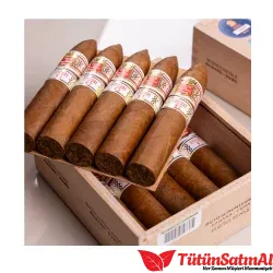 Hoyo de Monterrey Epicure No.3 10's Puro