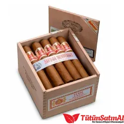 Hoyo de Monterrey San Juan 10's Puro