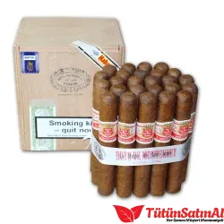 Hoyo de Monterrey San Juan 25's Puro