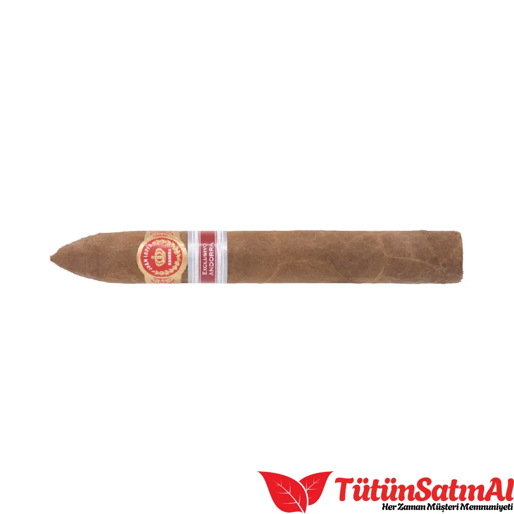 Juan Lopez Piramides Ex. Andorra 3 Juan Lopez Piramides Ex. Andorra - Görsel 3